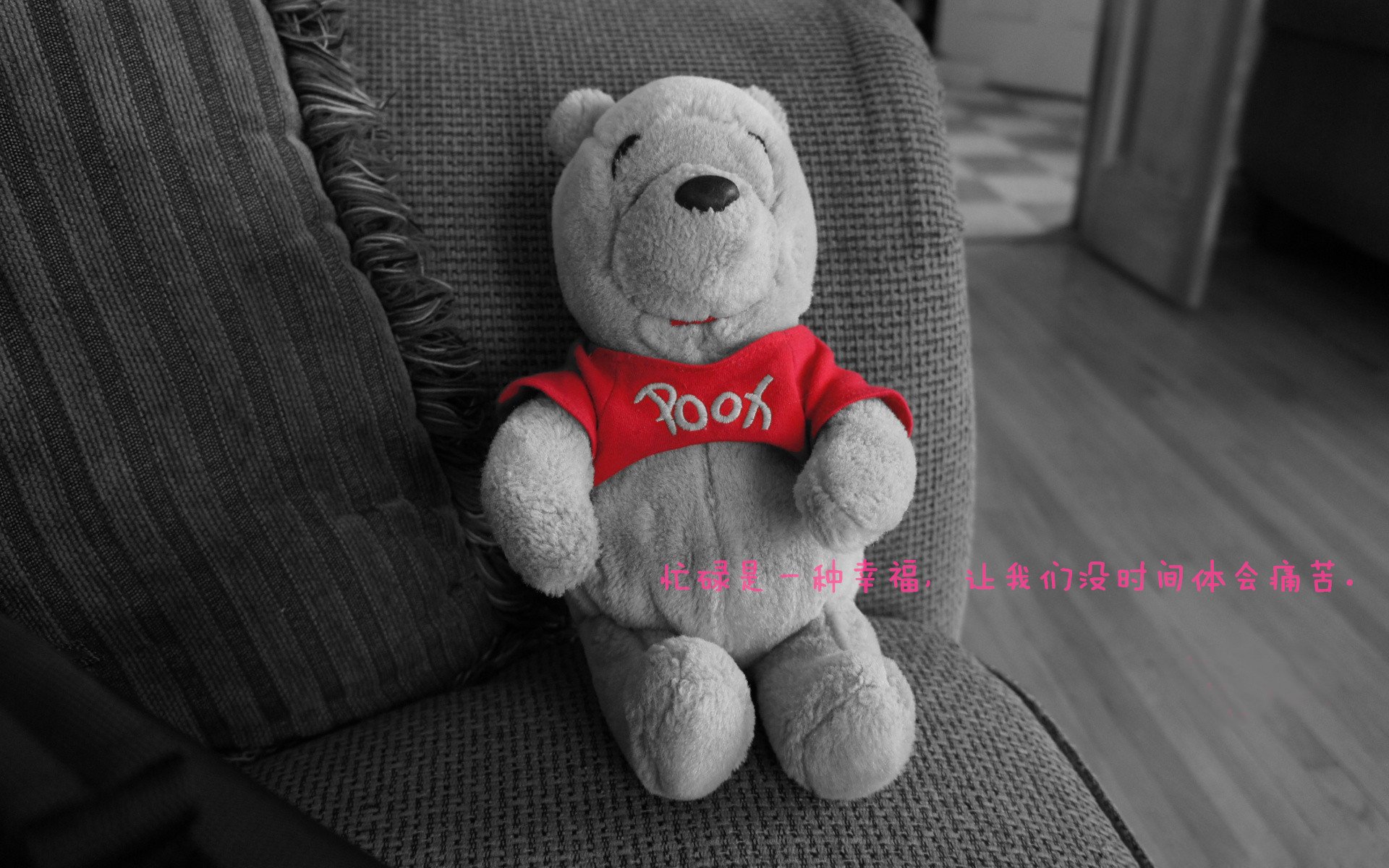 “中超俱乐部年度总结会成功举办”,中超各俱乐部所属公司