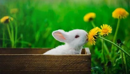 九游下载中心-【青训基地】培养未来明星的青训体系揭秘，青训新星